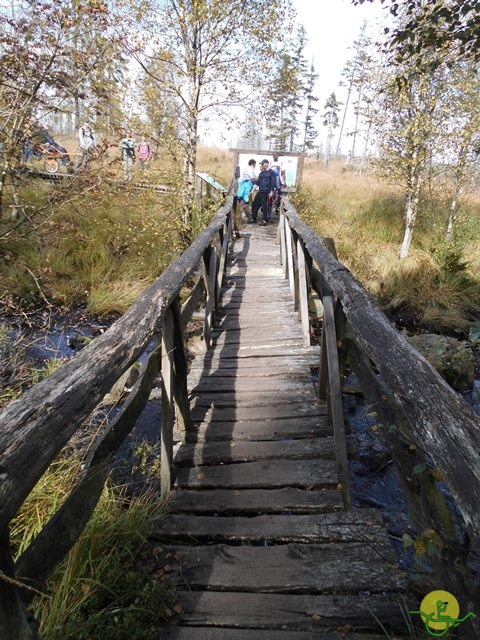 Randonnée joëlettes, Fagnes, 2014