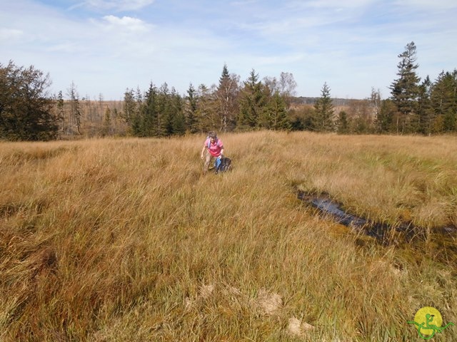 Randonnée joëlettes, Fagnes, 2014