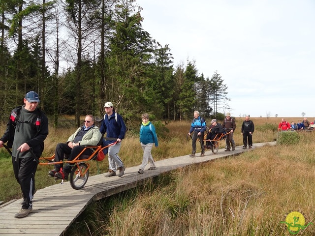 Randonnée joëlettes, Fagnes, 2014