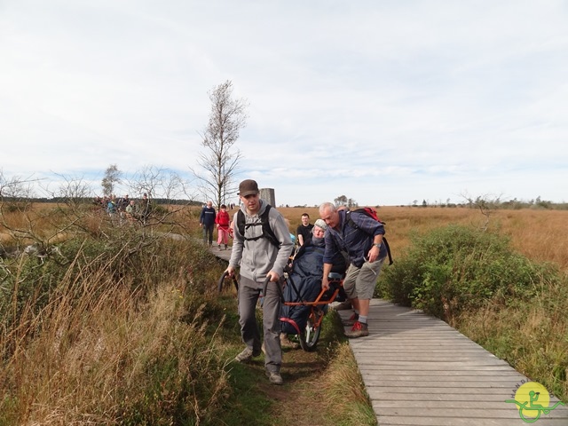 Randonnée joëlettes, Fagnes, 2014