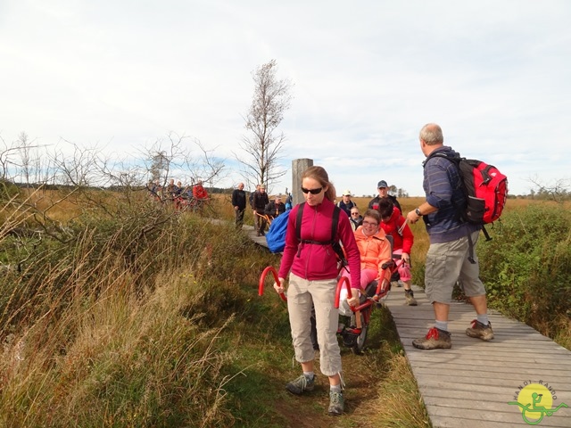 Randonnée joëlettes, Fagnes, 2014