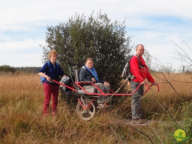 Randonnée joëlettes, Fagnes, 2014