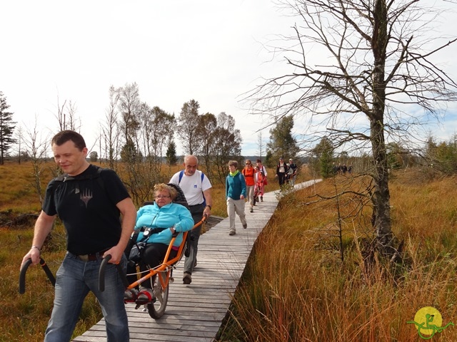 Randonnée joëlettes, Fagnes, 2014