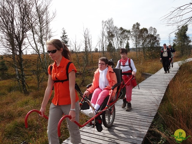 Randonnée joëlettes, Fagnes, 2014