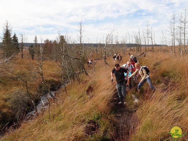 Randonnée joëlettes, Fagnes, 2014