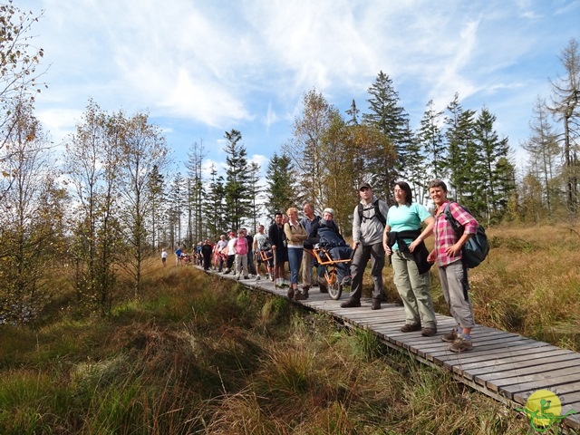 Randonnée joëlettes, Fagnes, 2014