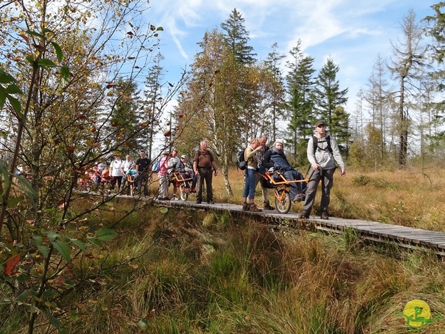 Randonnée joëlettes, Fagnes, 2014