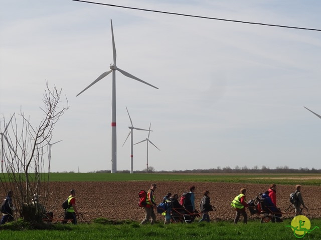 Randonnée joëlettes à Perwez