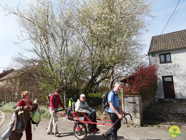 Randonnée joëlettes à Perwez