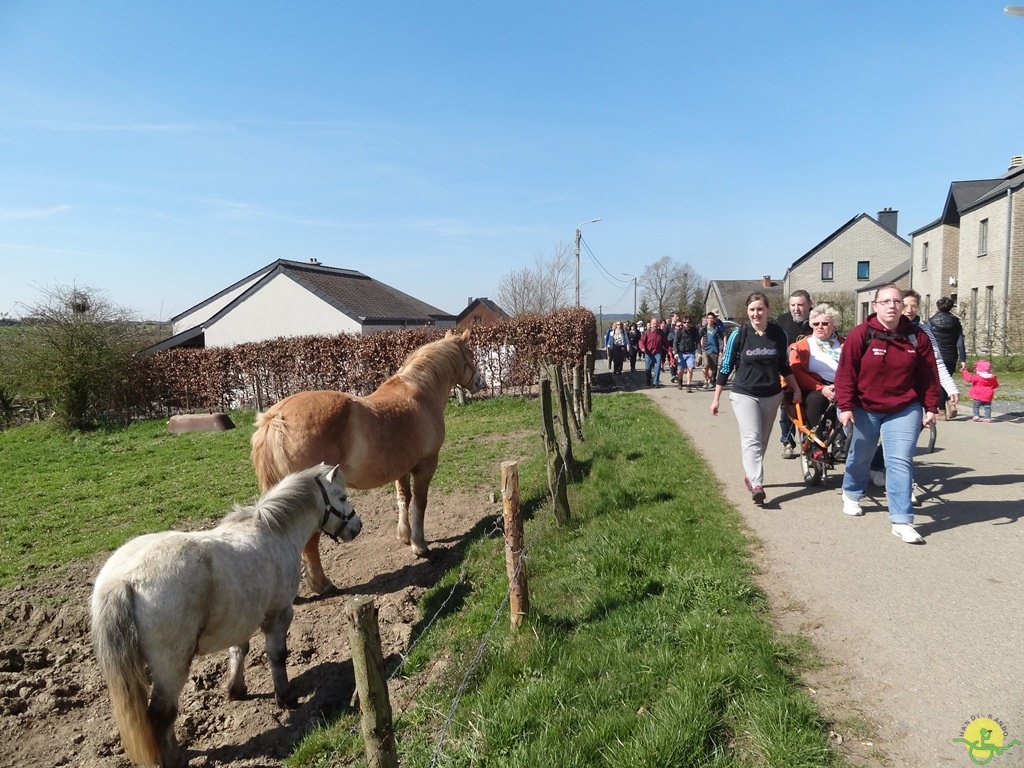 Randonnée joëlettes à Bertogne