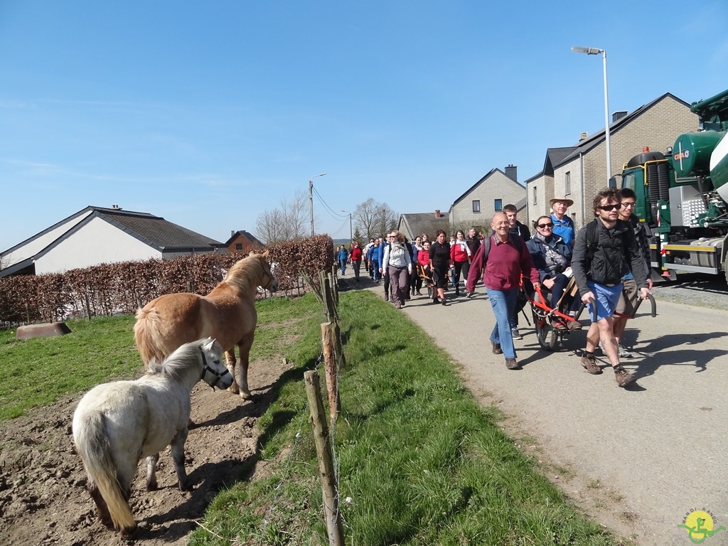 Randonnée joëlettes à Bertogne