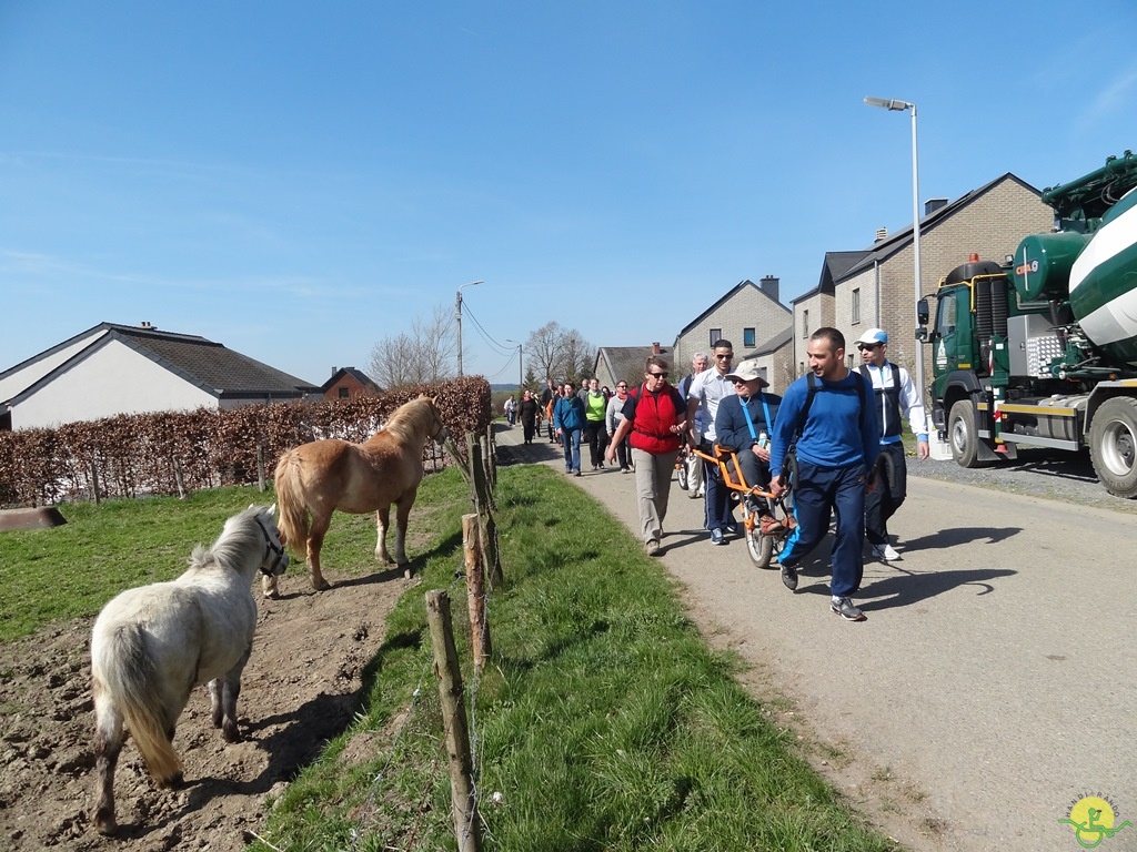 Randonnée joëlettes à Bertogne