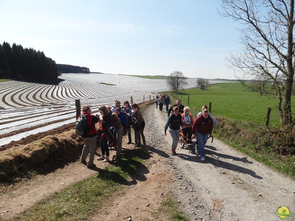 Randonnée joëlettes à Bertogne