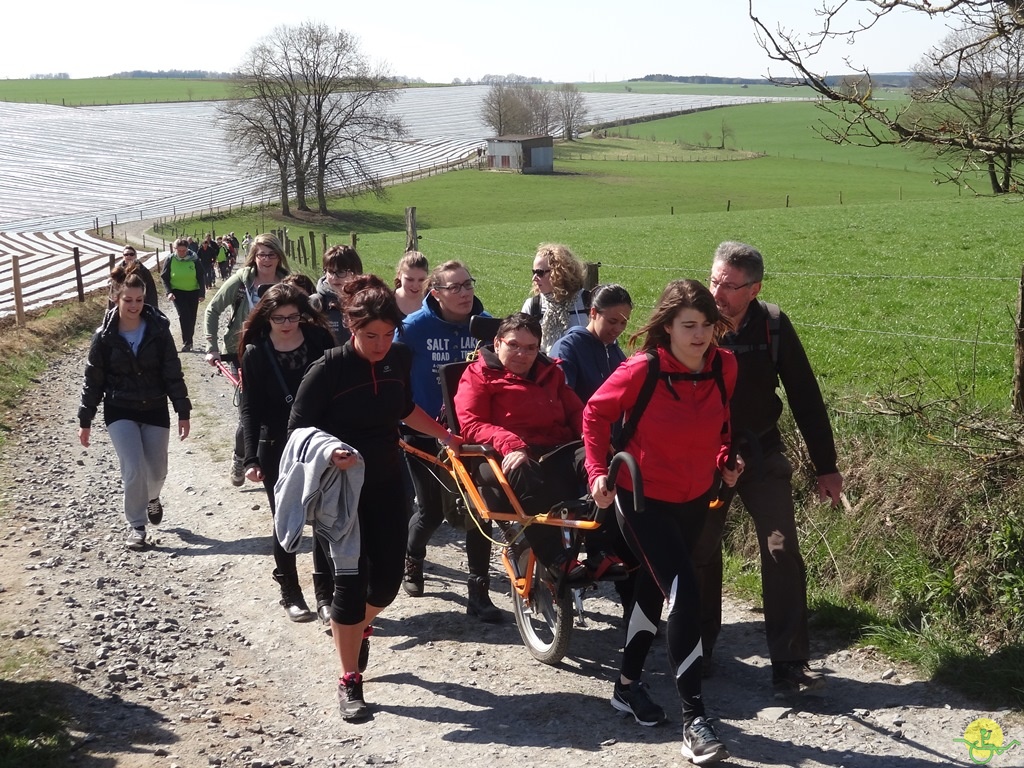 Randonnée joëlettes à Bertogne