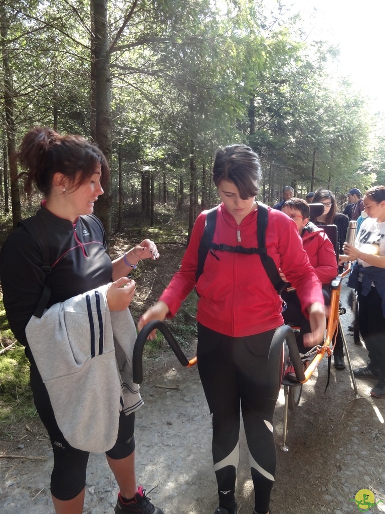 Randonnée joëlettes à Bertogne