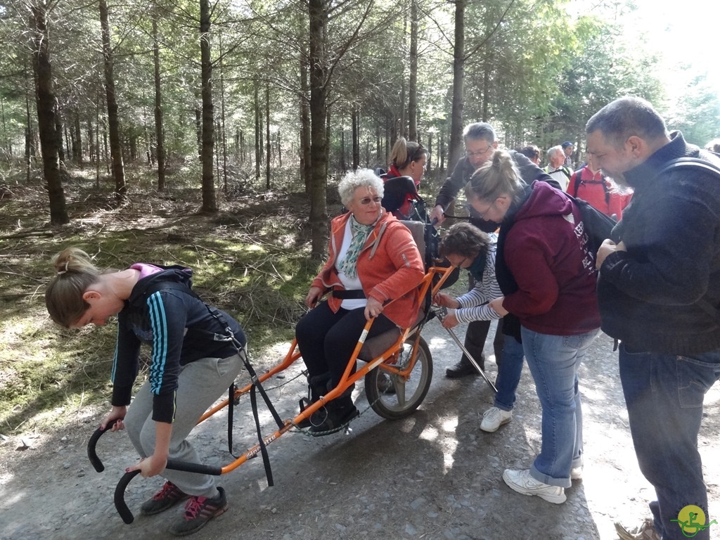 Randonnée joëlettes à Bertogne