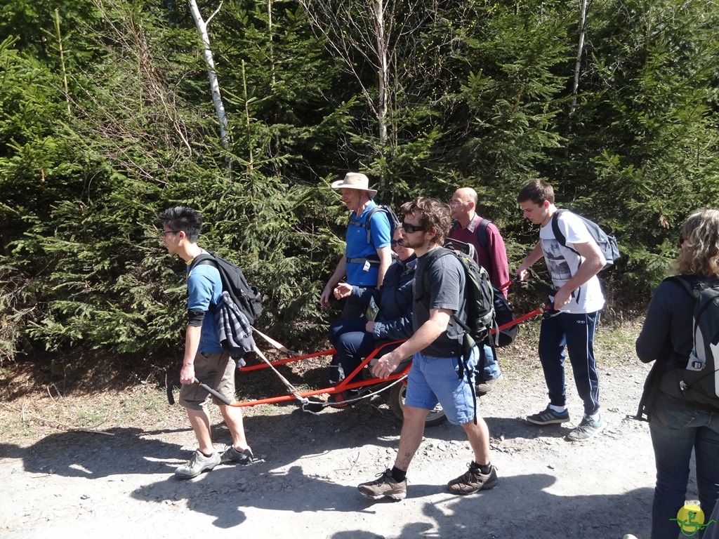 Randonnée joëlettes à Bertogne