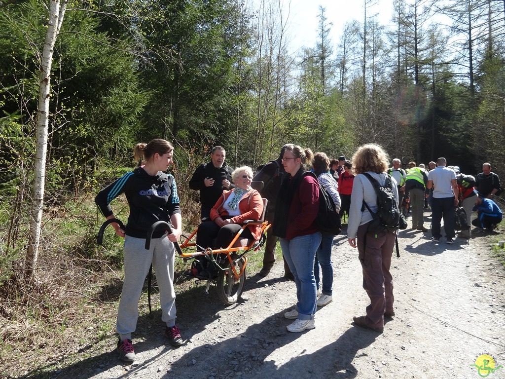 Randonnée joëlettes à Bertogne