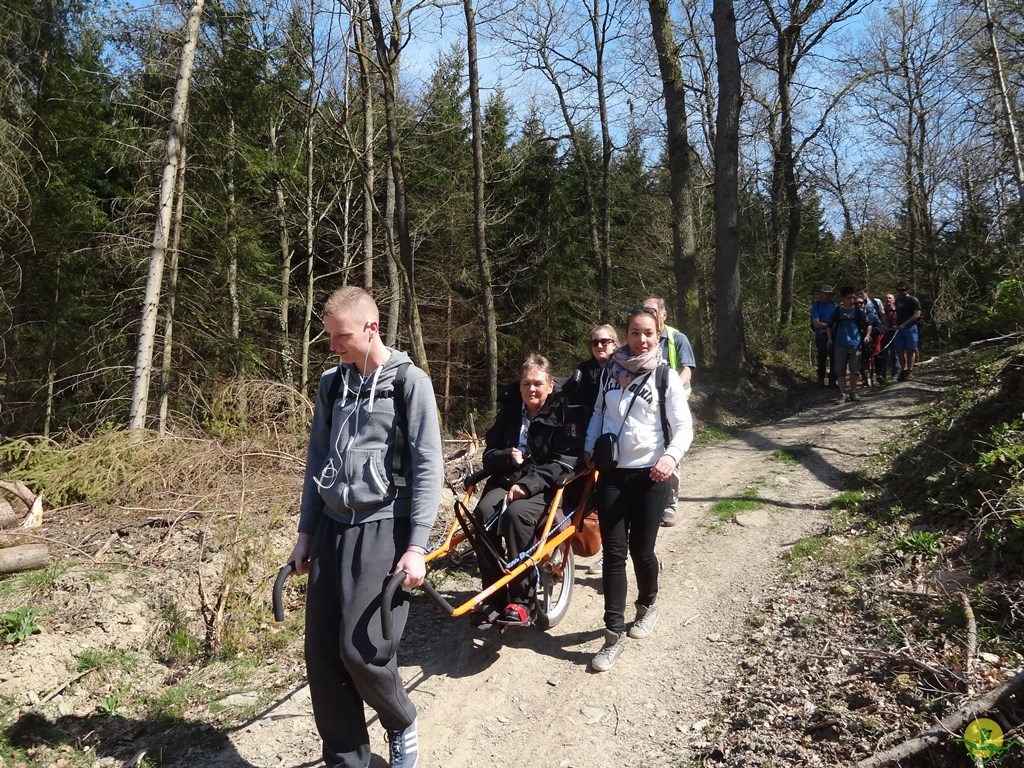 Randonnée joëlettes à Bertogne