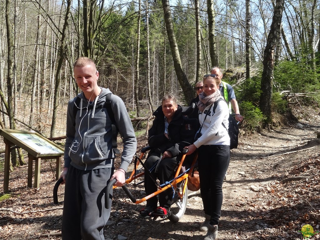 Randonnée joëlettes à Bertogne