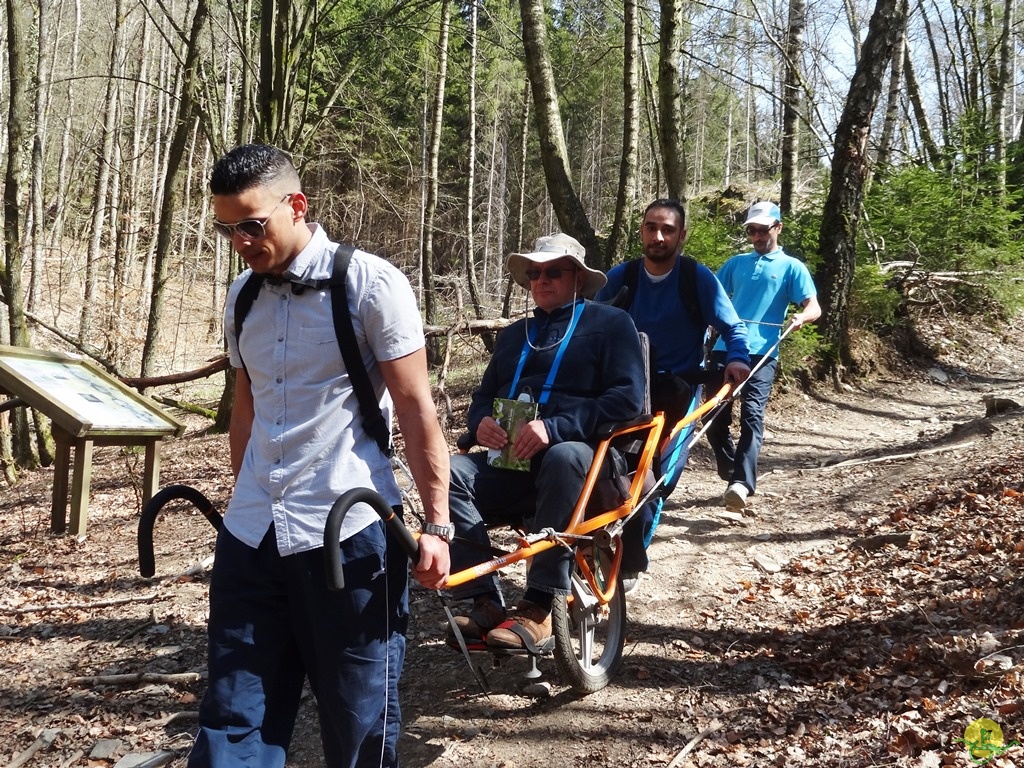 Randonnée joëlettes à Bertogne