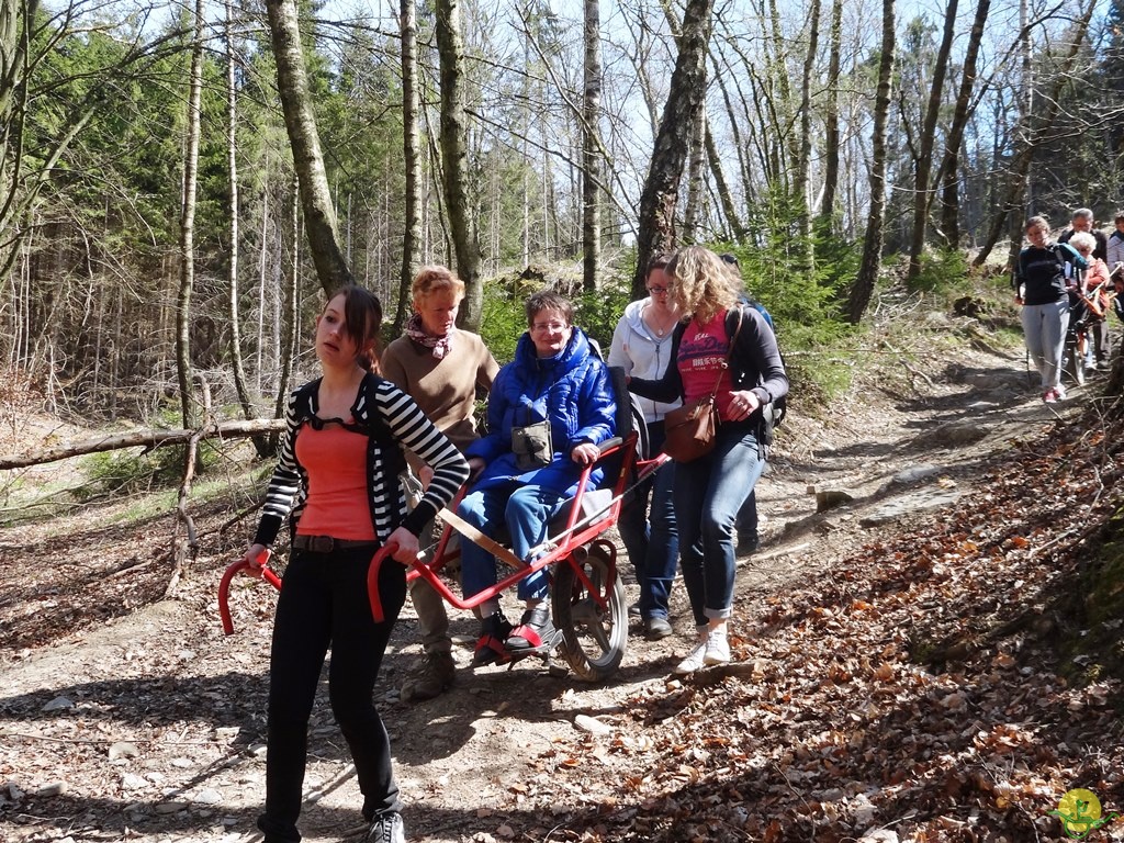 Randonnée joëlettes à Bertogne