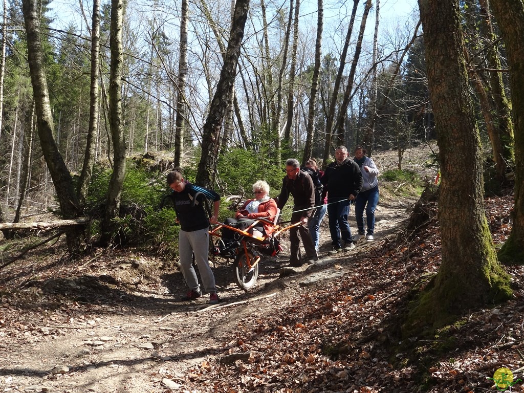 Randonnée joëlettes à Bertogne