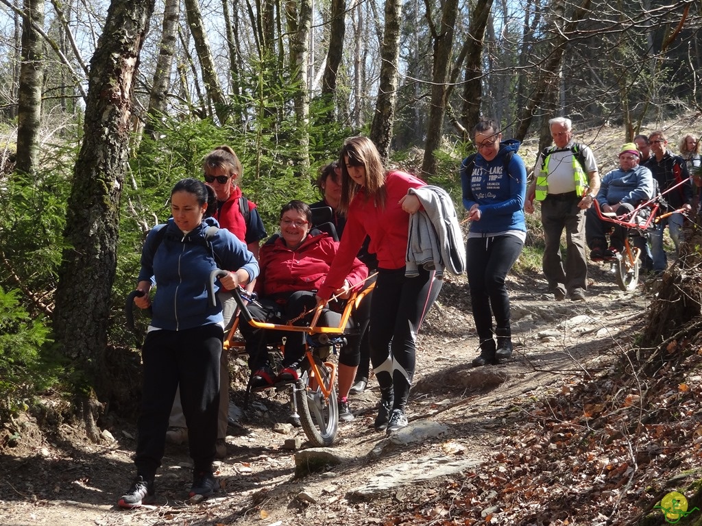 Randonnée joëlettes à Bertogne