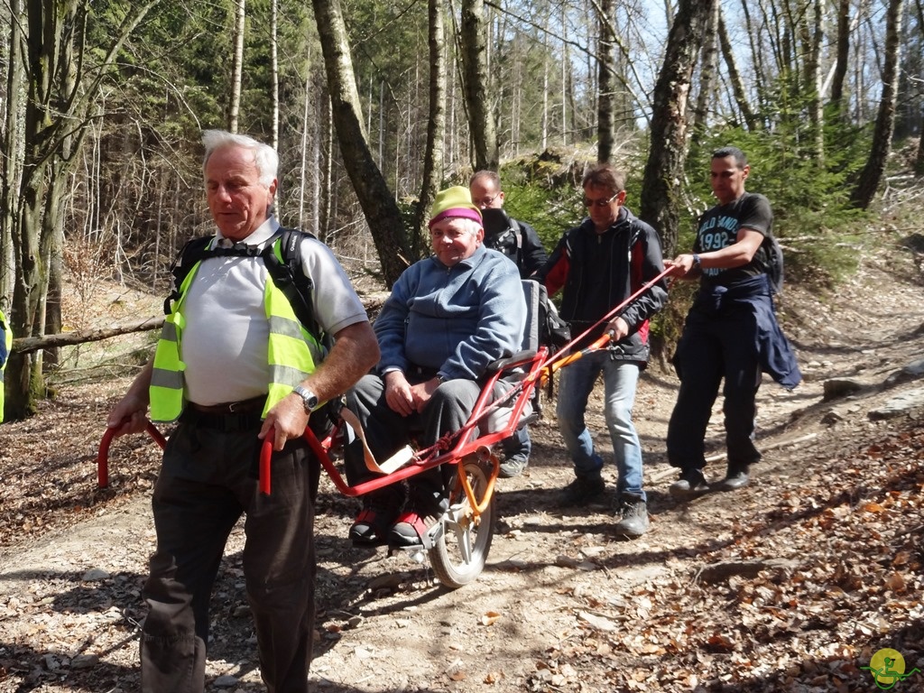 Randonnée joëlettes à Bertogne