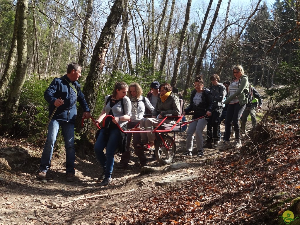 Randonnée joëlettes à Bertogne