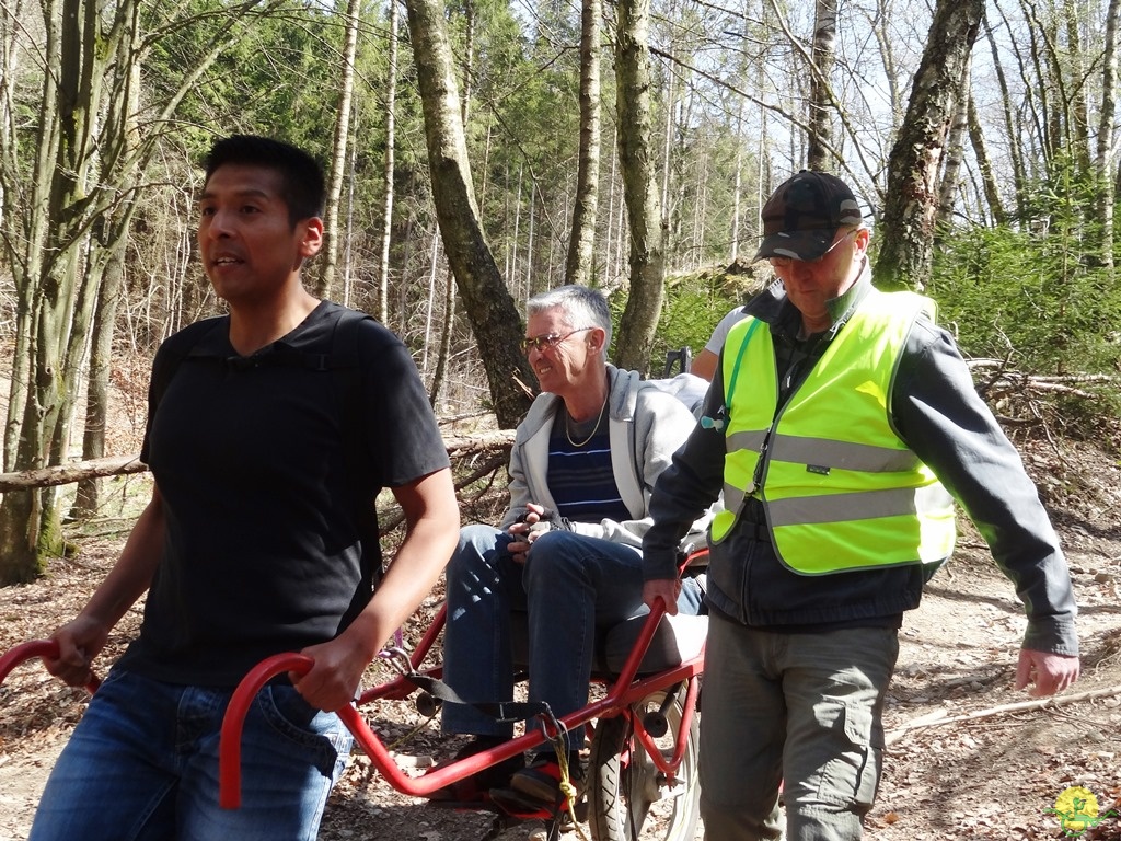 Randonnée joëlettes à Bertogne