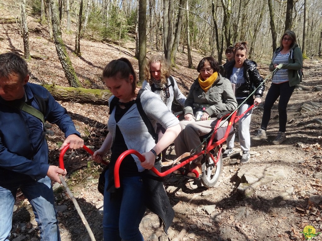 Randonnée joëlettes à Bertogne