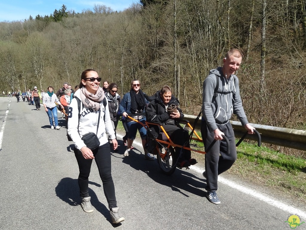 Randonnée joëlettes à Bertogne