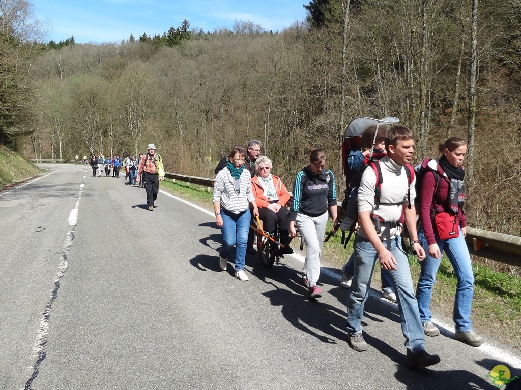 Randonnée joëlettes à Bertogne