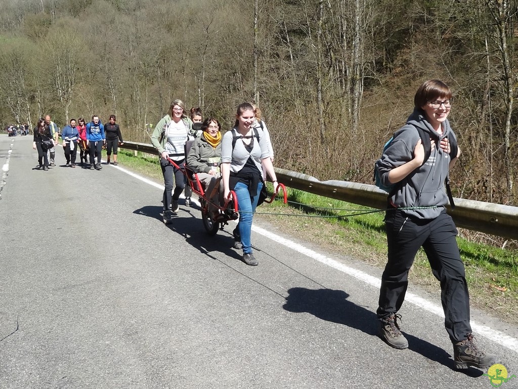 Randonnée joëlettes à Bertogne