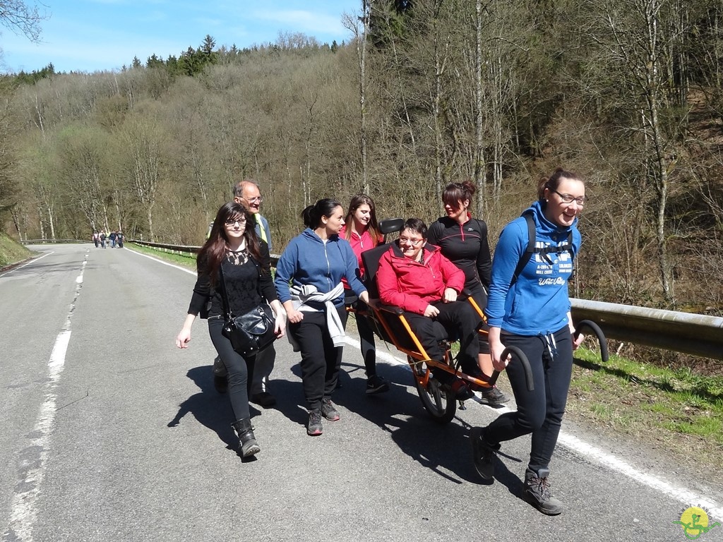 Randonnée joëlettes à Bertogne