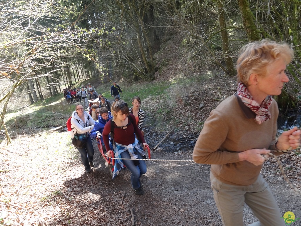 Randonnée joëlettes à Bertogne