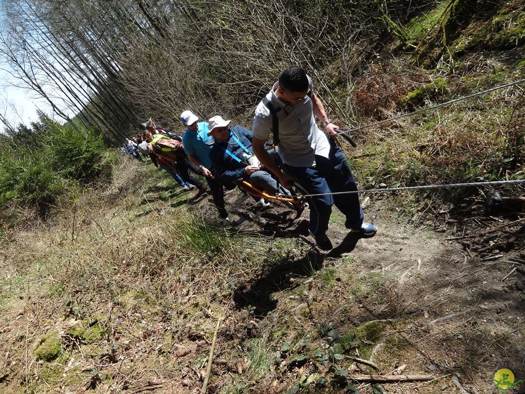 Randonnée joëlettes à Bertogne