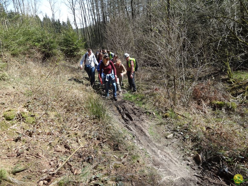 Randonnée joëlettes à Bertogne