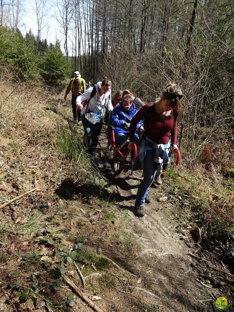 Randonnée joëlettes à Bertogne