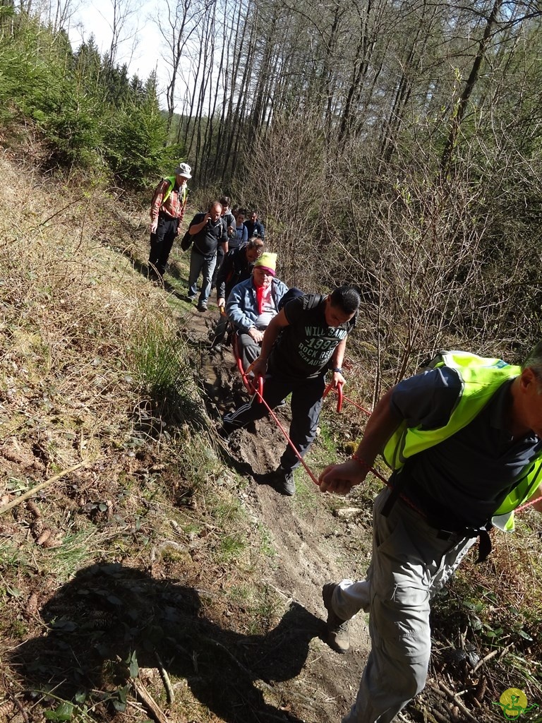 Randonnée joëlettes à Bertogne