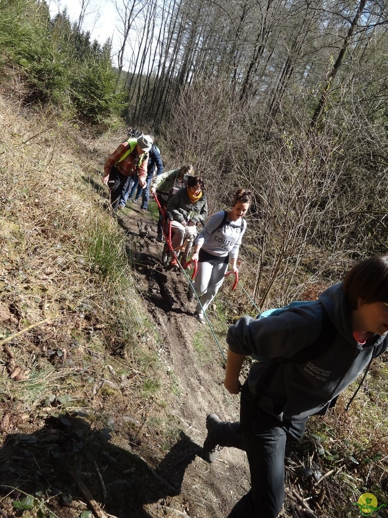 Randonnée joëlettes à Bertogne