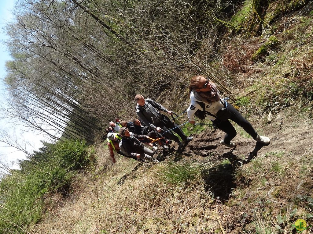 Randonnée joëlettes à Bertogne