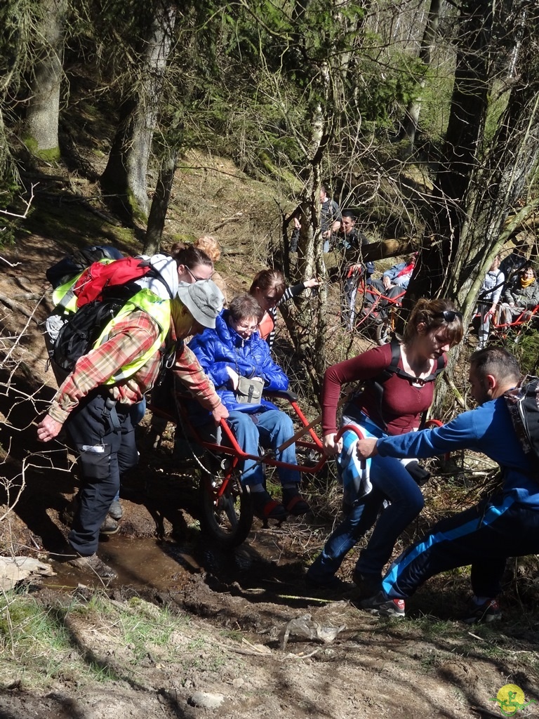 Randonnée joëlettes à Bertogne