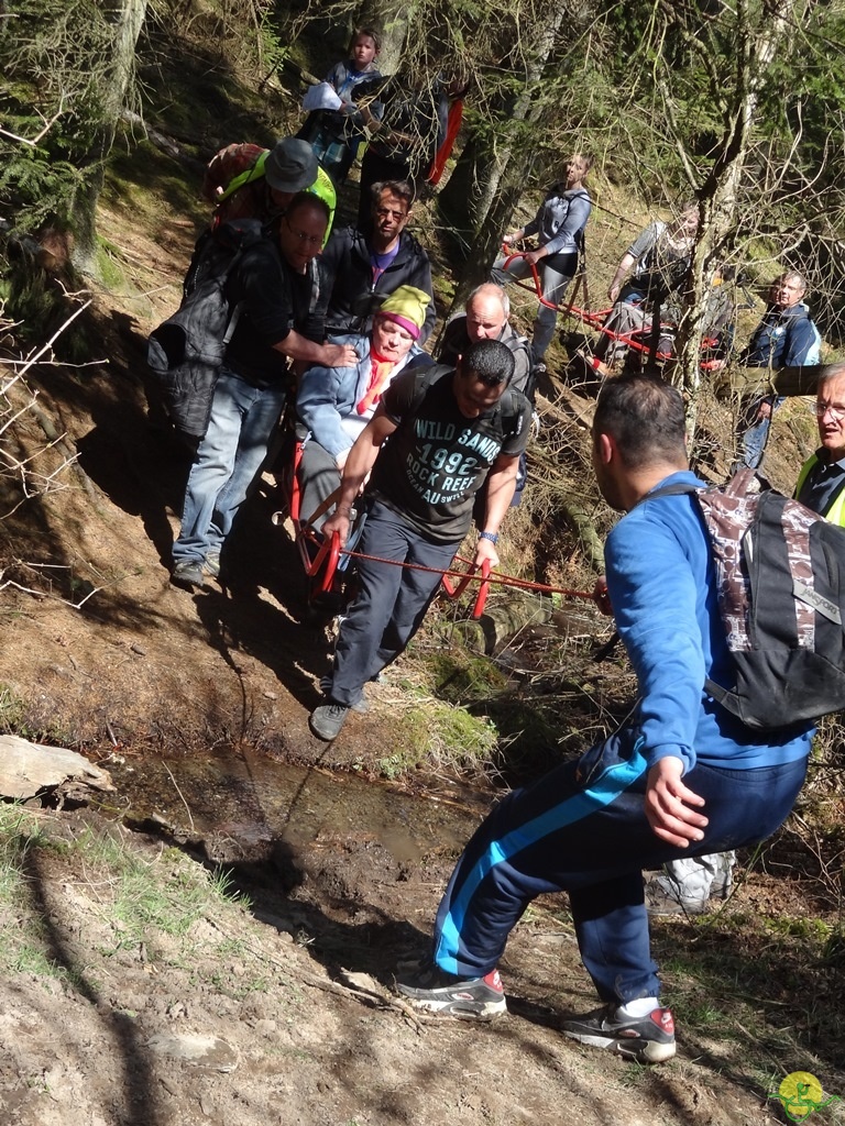 Randonnée joëlettes à Bertogne