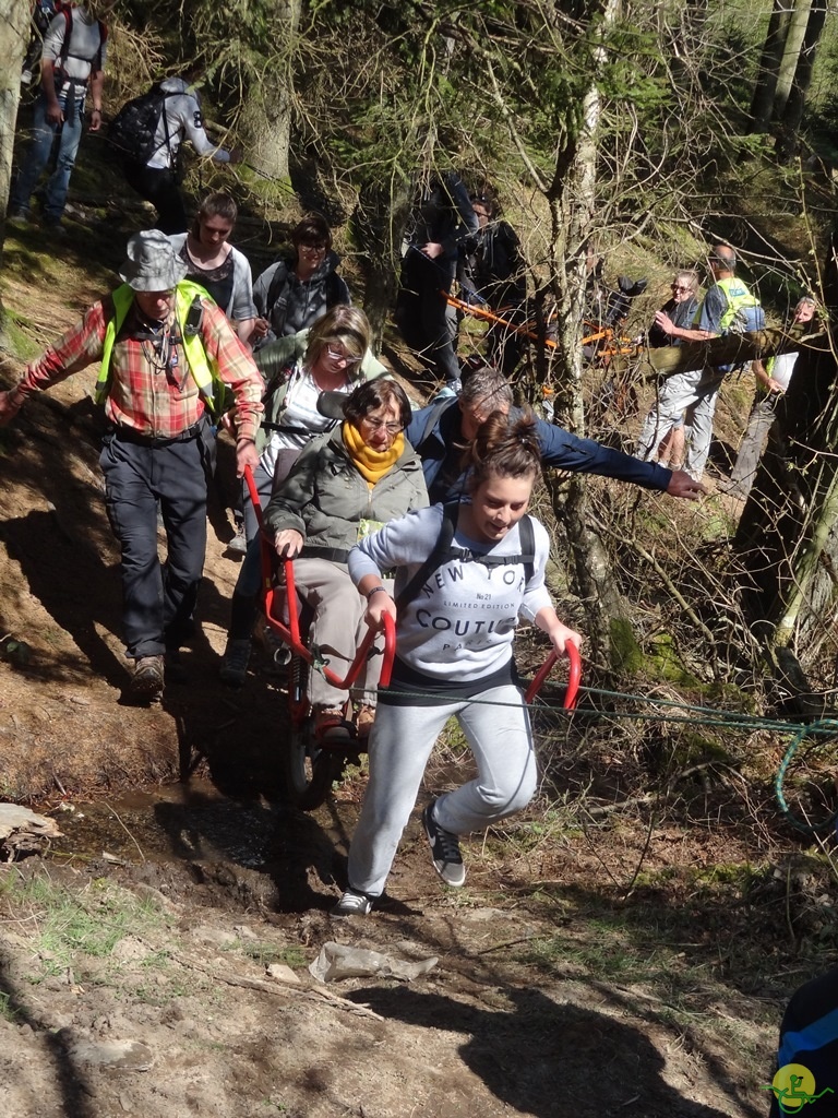 Randonnée joëlettes à Bertogne