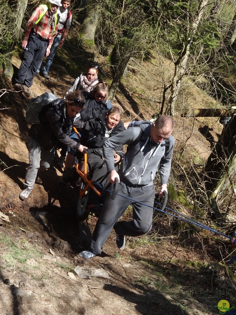 Randonnée joëlettes à Bertogne