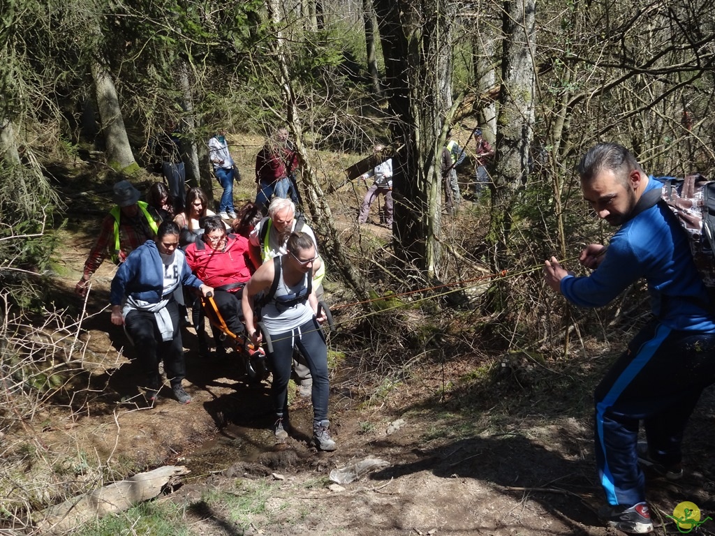 Randonnée joëlettes à Bertogne