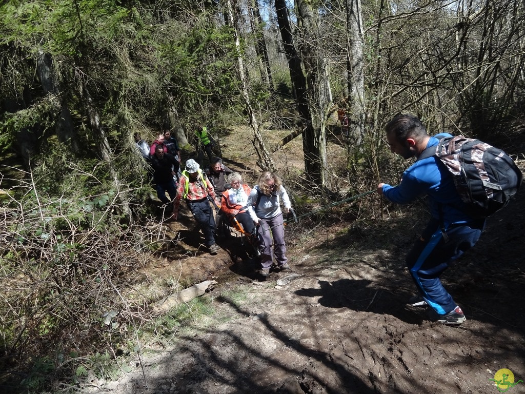 Randonnée joëlettes à Bertogne