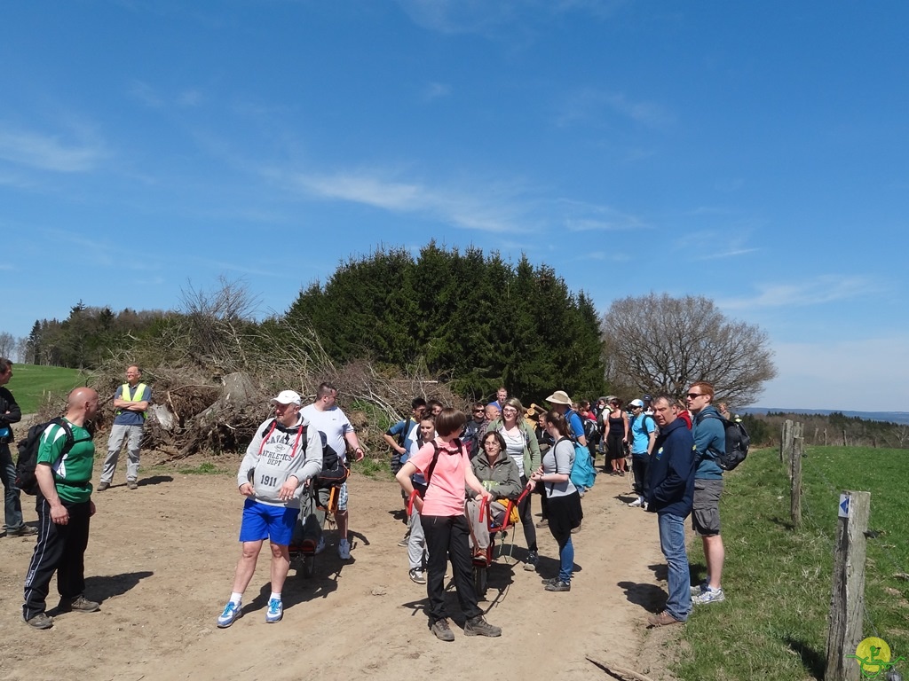 Randonnée joëlettes à Bertogne